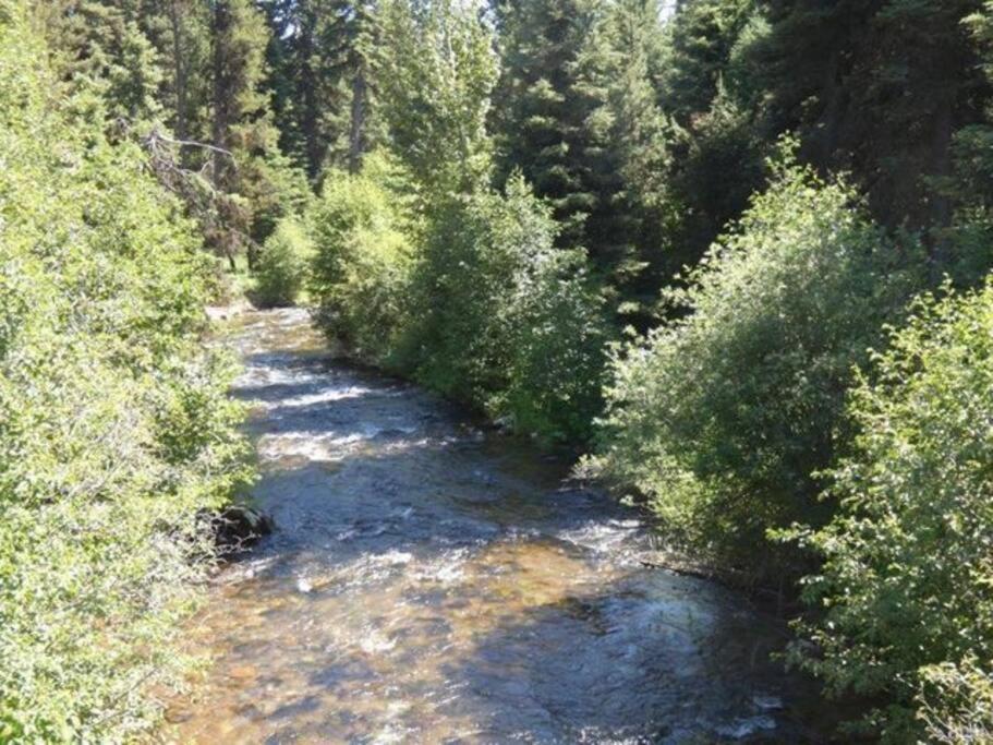 Hot Tub-mountain View-secluded-entire Private Floor Holiday home Seeley Lake